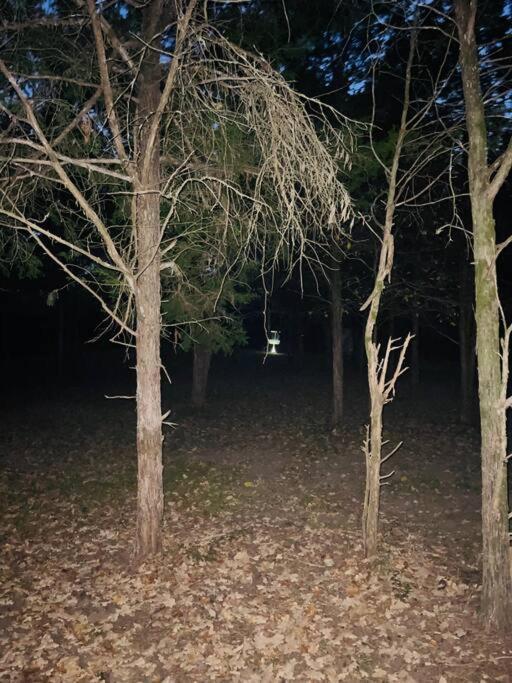 Villa Bastrop Tiny Disc Golf Retreat Exterior foto